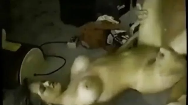 Jolie bébé adore vidéo x amateur français quand un négro lui martèle le cul