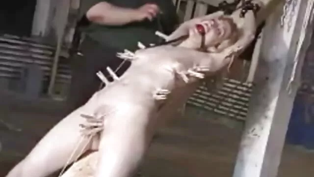 Le mec baise férocement une video x amateur francais gratuit chienne sauvage en anal